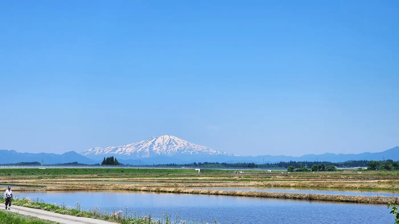 St John's road through the rice fields of northern Japan, with a snow-capped volcano behind
