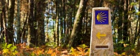 Camino de Santiago