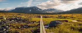 Kungsleden