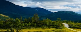 St. Olav’s Way