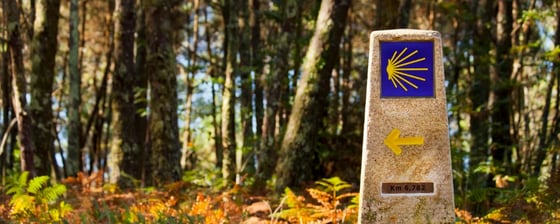 Camino de Santiago