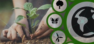 Pebbls: The Eco-Friendly Travel Tracker