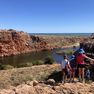 Camping At North Lefroy by Newluks