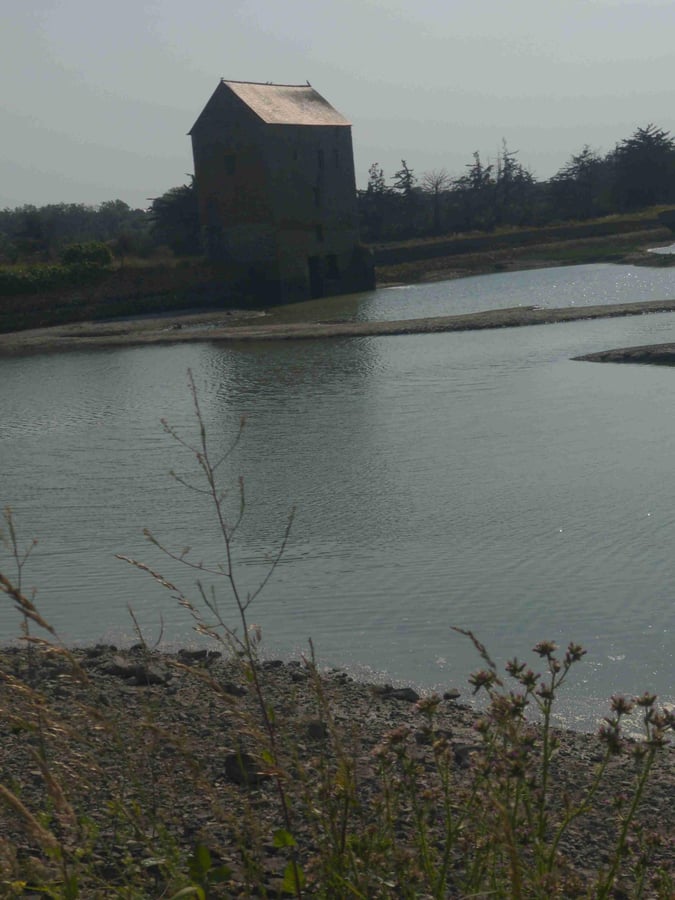 Tatsächlich eine Wassermühle!, Frankreich