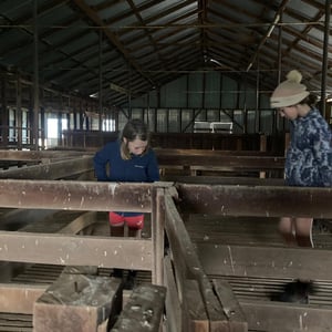 Finally In A House by Newluks