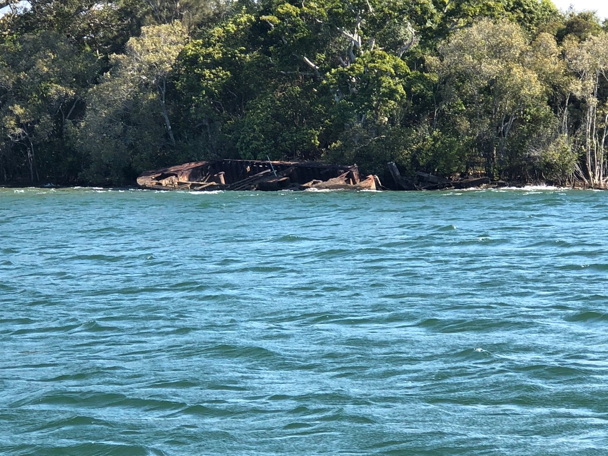 Back To Forget., Australia
