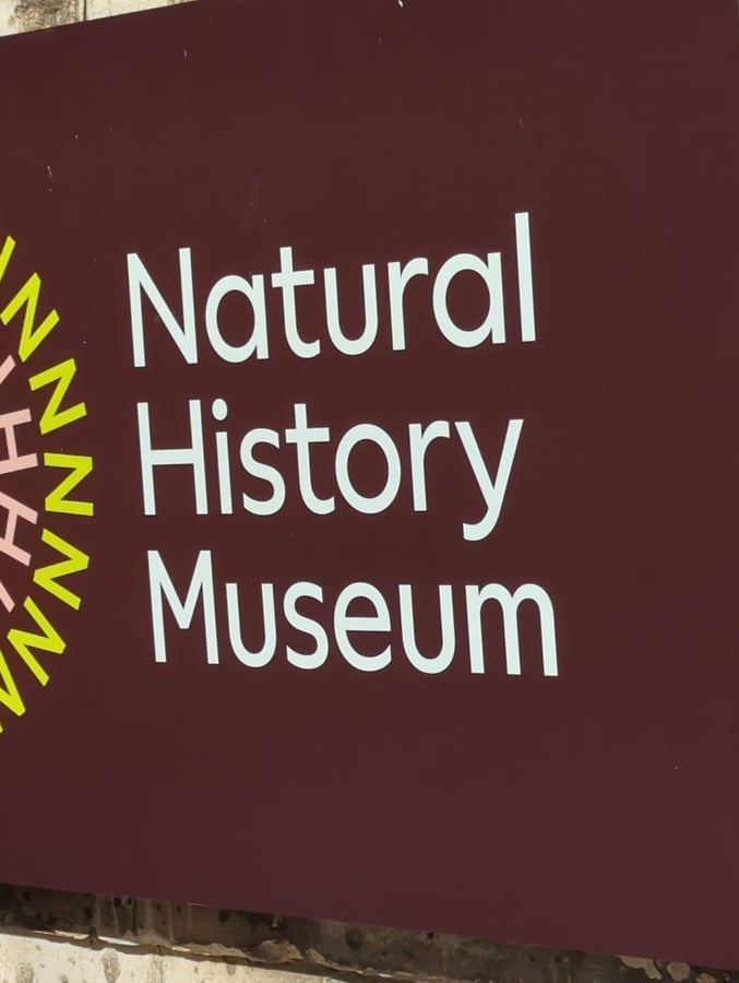 Natural History, England