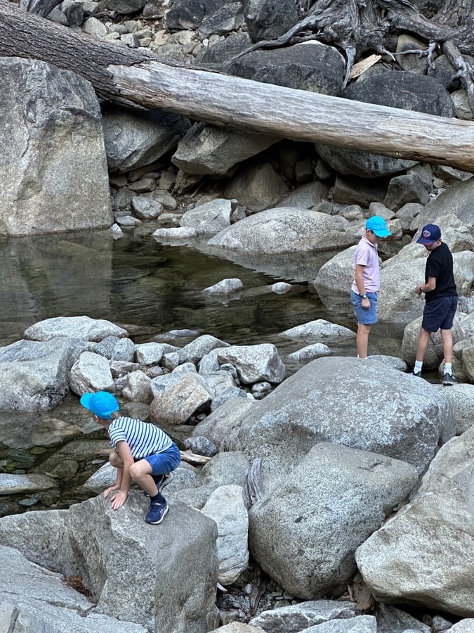 Yosemite, Guernsey