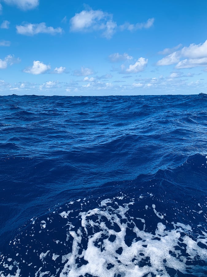 La vida en el mar
