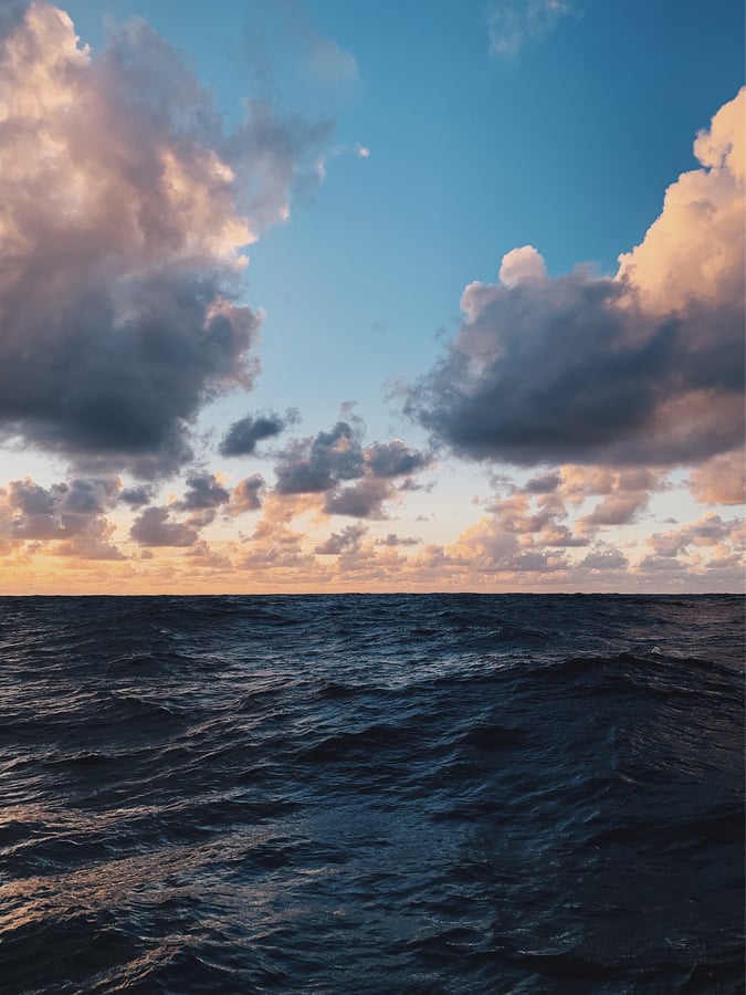 La vida en el mar