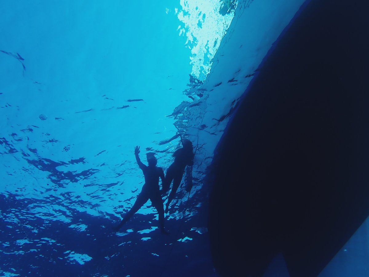 Mares claros y delfines, España