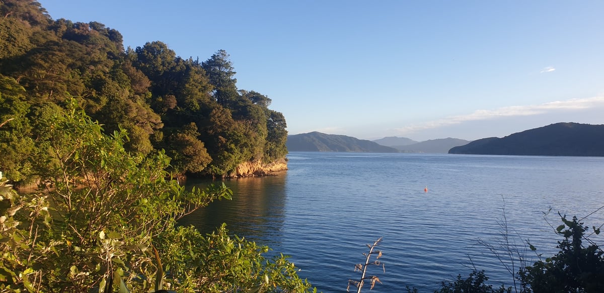 Schoolhouse Bay Campsite, New Zealand