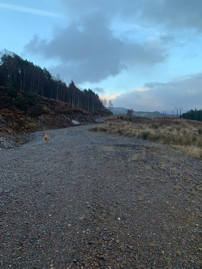 18 Dec 2023 - 20:58, Scotland