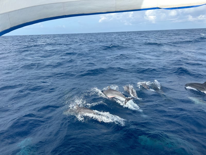 The Last Few Days, day 174 of Sailing Around The World
