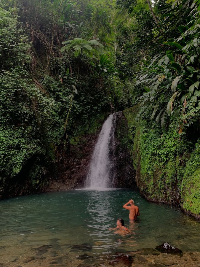 Jungla y cascadas, Granada