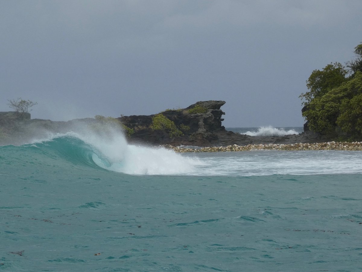 Un surf inesperado
