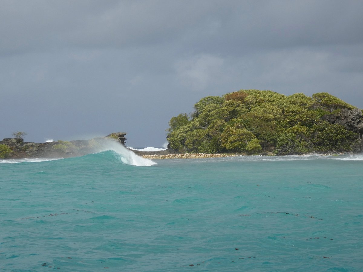 Un surf inesperado