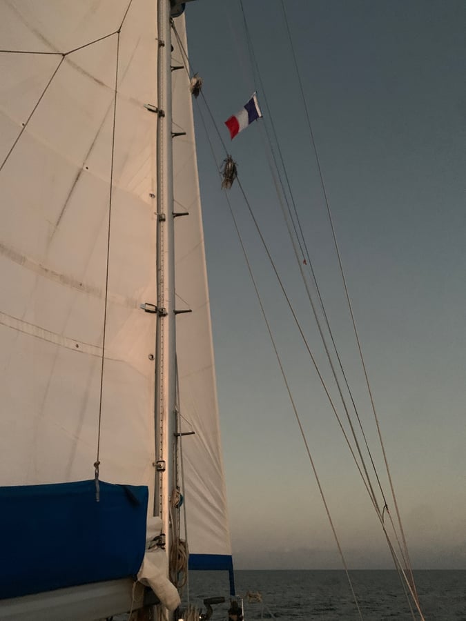 ¡Rumbo al norte una vez más!, Martinica