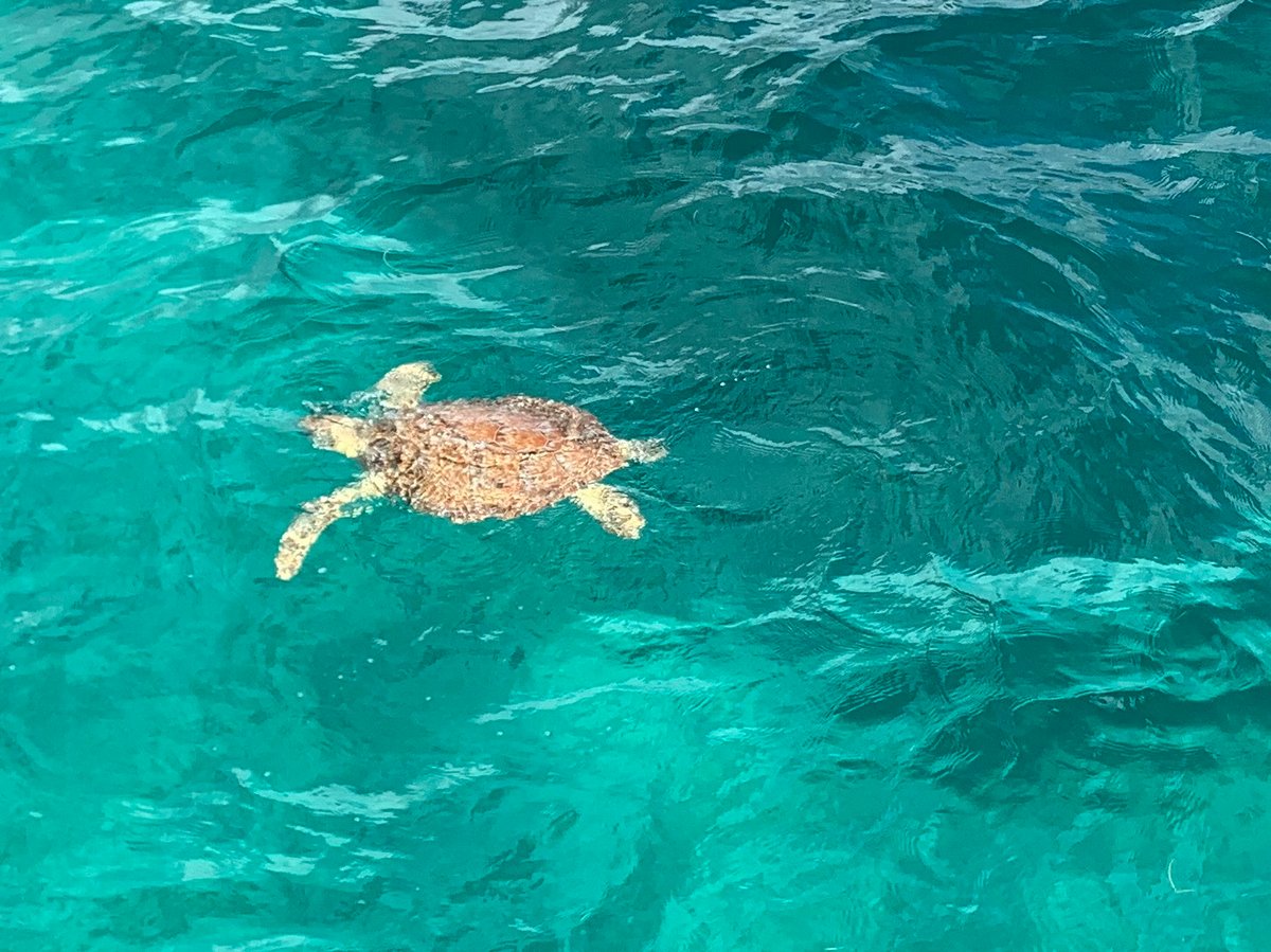 Explorando English Harbour, Antigua y Barbuda