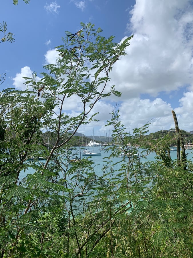 Explorando English Harbour, Antigua y Barbuda