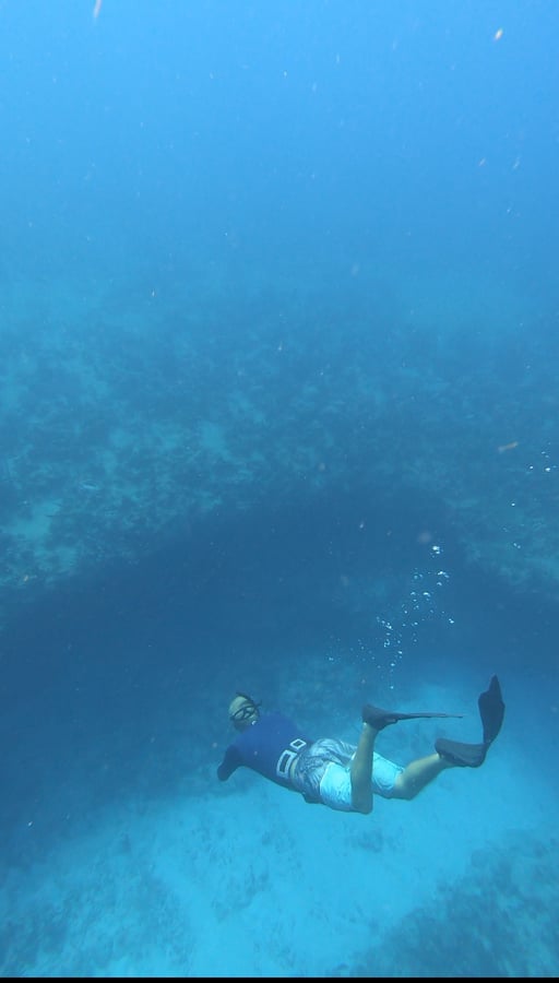 Tarde de snorkel, Guadalupe