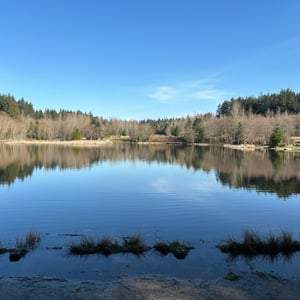 Green Timbers Lake by Geoffrey