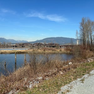 Bridge Two - Pitt River by Geoffrey