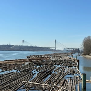 Bridge Three - Port Mann by Geoffrey
