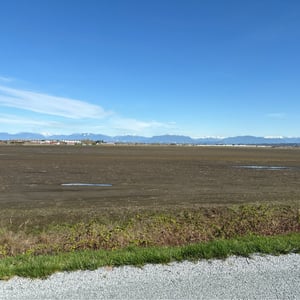 View of North Shore Mountains by Geoffrey
