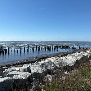 Ruin of Cannery by Geoffrey