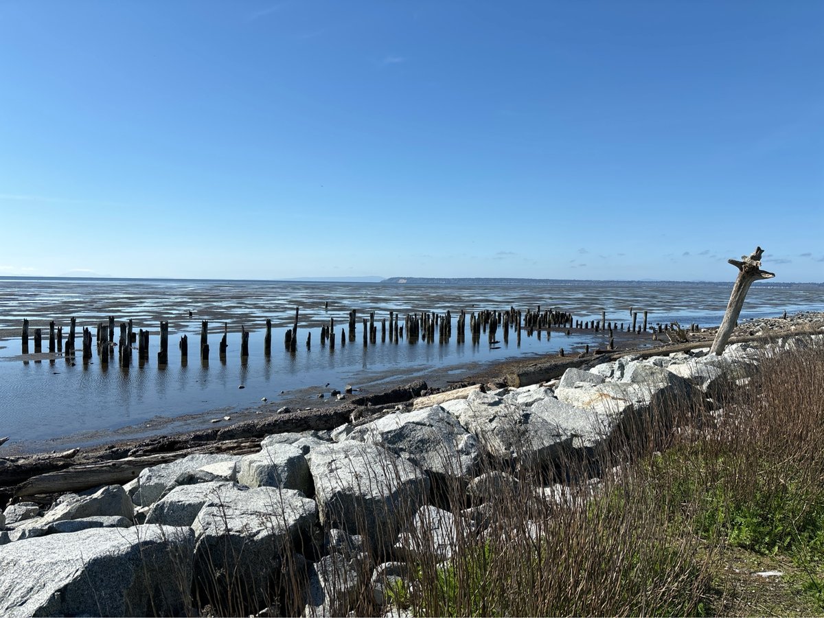 Ruine der Konservenfabrik, Kanada