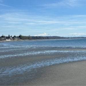 White Rock Pier by Geoffrey