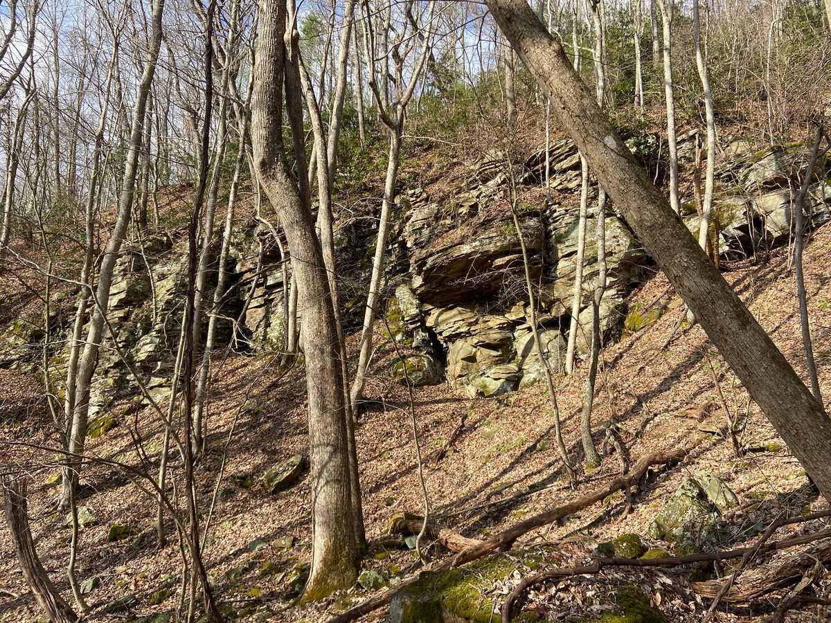Helvey’s Mill Shelter-Mile 594, United States