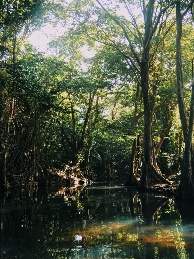 Explorando Dominica, Dominica