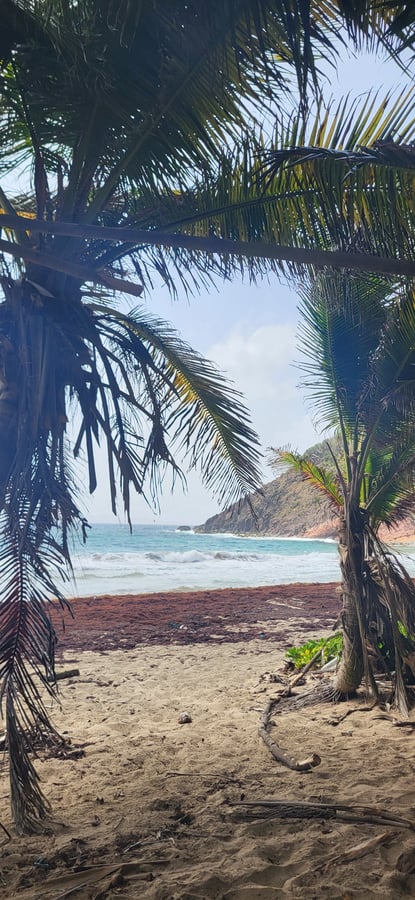 Hope Beach - Bequia, St. Vincent & Grenadines