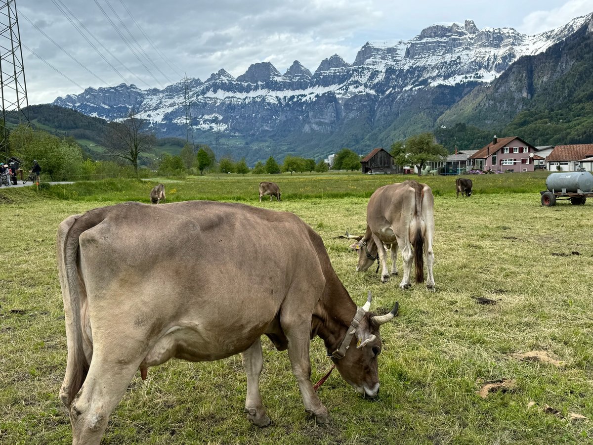 28 April 2024 - 16:23, Switzerland