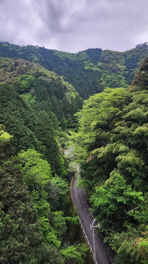 Collines escarpées !, Japon
