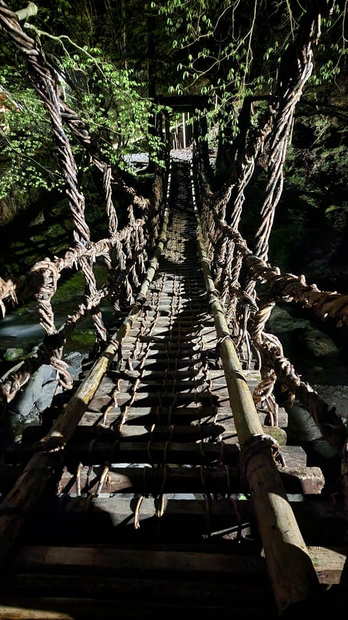 Vine Bridge, Japan