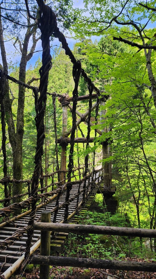 Pont Double Vine, Japon