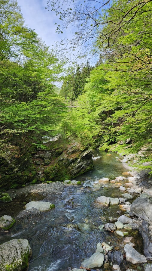 Pont Double Vine, Japon