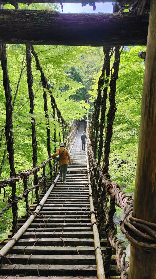 Pont Double Vine, Japon