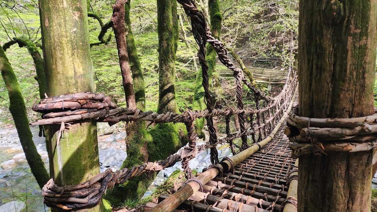 Pont Double Vine, Japon