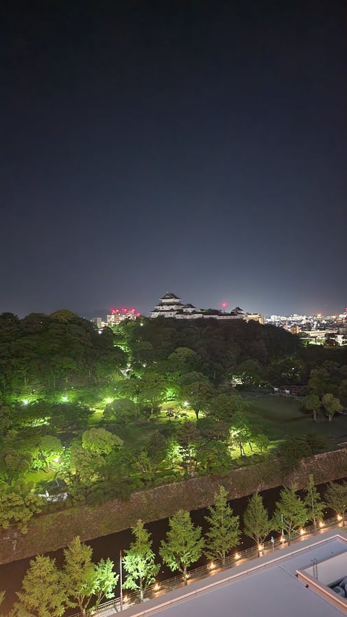 Wakayama Castle, Japan