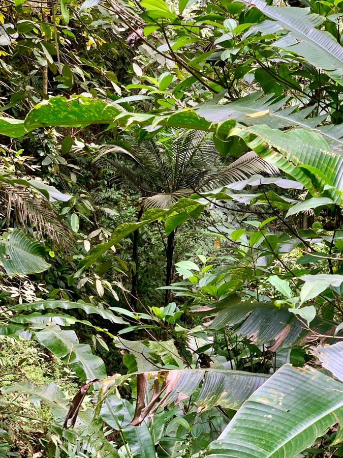 ¡Explorando Tobago!, Trinidad y Tobago