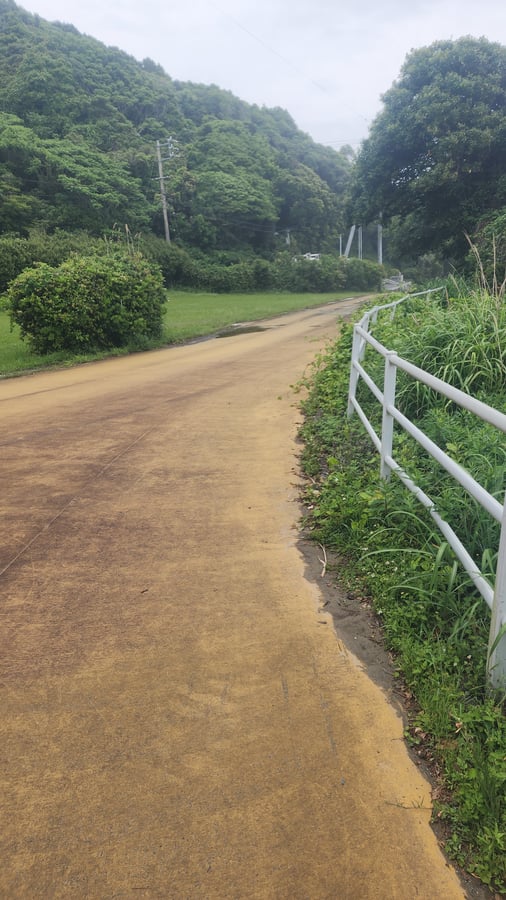 Pista ciclabile dedicata e onde