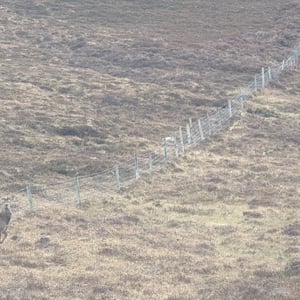 Stornoway by Simon &amp;amp; Lucy