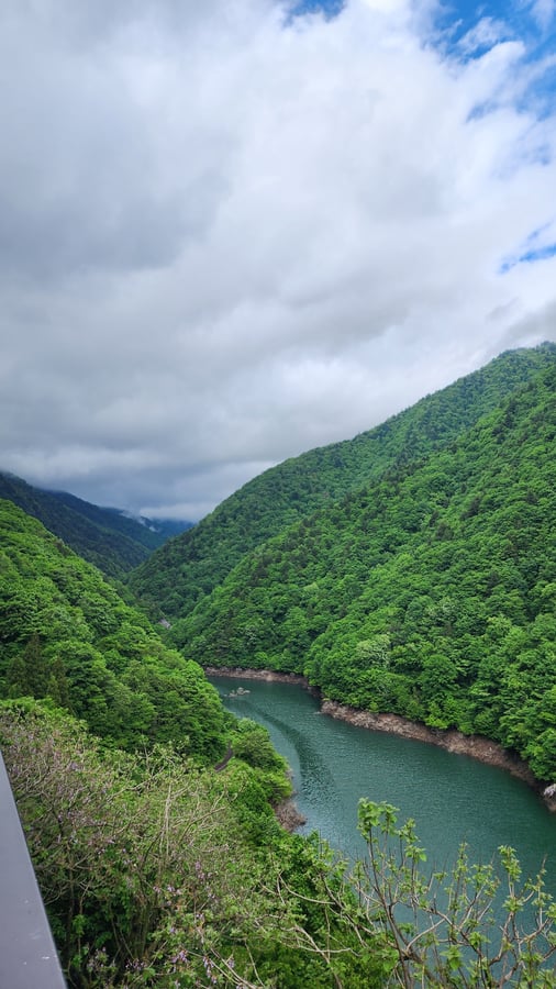La foresta proibita, Giappone