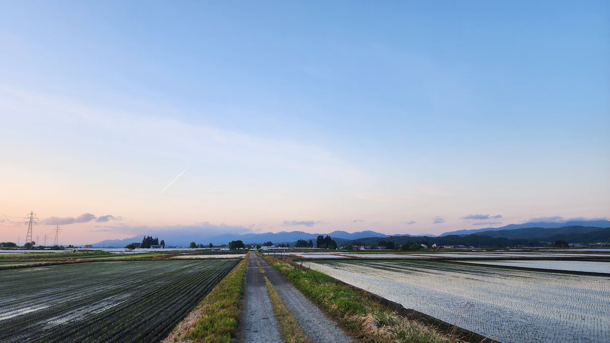 Montagne di riso e tramonto, Giappone