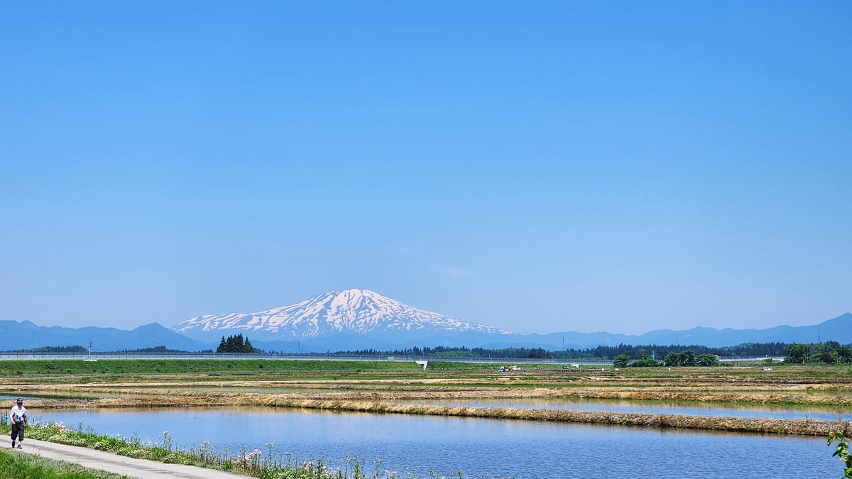 Duda de nieve, Japón