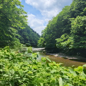 Some of the wildest, graveliest roads so far by St John